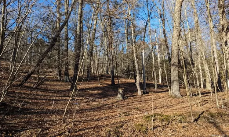 Lundy Road, Wawarsing, NY, ,Land,For Sale,Lundy,H6289529