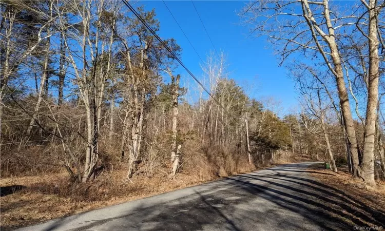 Lundy Road, Wawarsing, NY, ,Land,For Sale,Lundy,H6289529