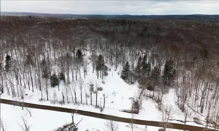 Cranberry Road, Wawarsing, NY, ,Land,For Sale,Cranberry,H6290000