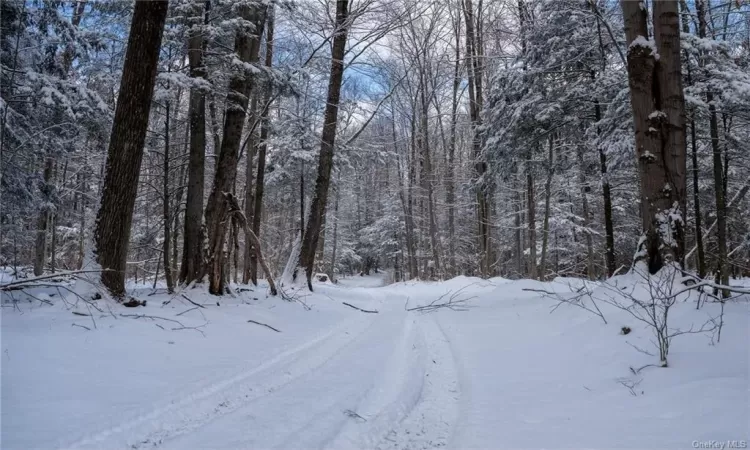 Cranberry Road, Wawarsing, NY, ,Land,For Sale,Cranberry,H6290000