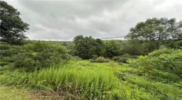 Shandelee Road, Callicoon, NY, ,Land,For Sale,Shandelee,H6290799