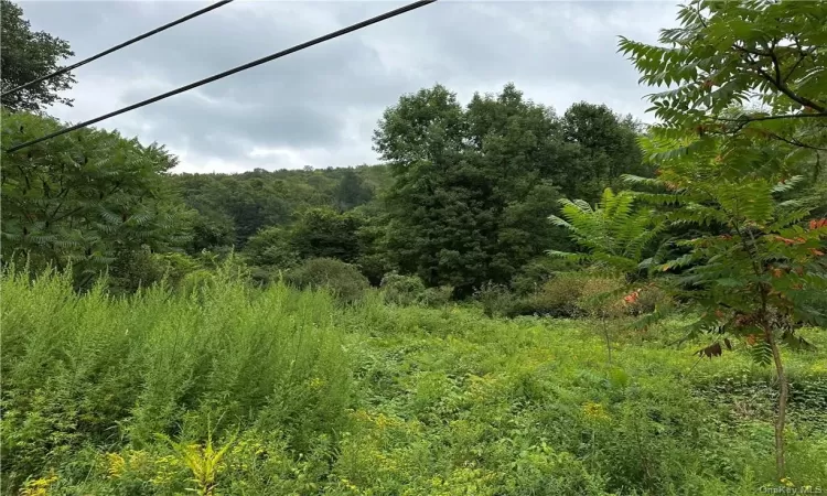 Shandelee Road, Callicoon, NY, ,Land,For Sale,Shandelee,H6290799