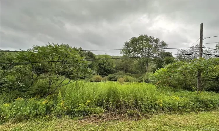 Shandelee Road, Callicoon, NY, ,Land,For Sale,Shandelee,H6290799