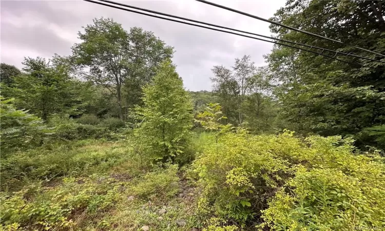 Shandelee Road, Callicoon, NY, ,Land,For Sale,Shandelee,H6290799