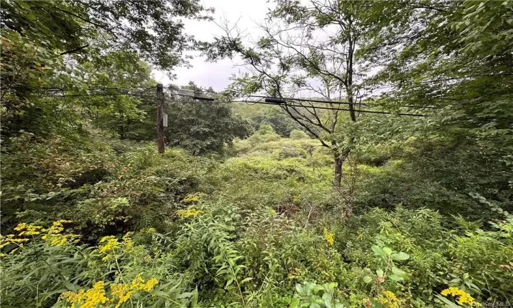 Shandelee Road, Callicoon, NY, ,Land,For Sale,Shandelee,H6290799