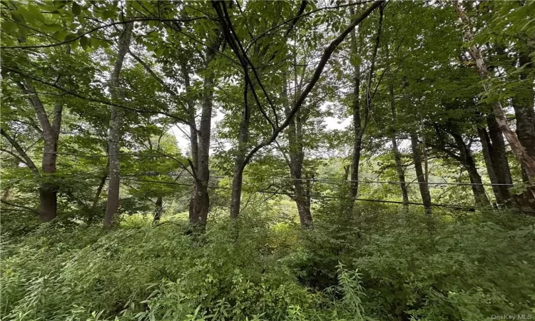 Shandelee Road, Callicoon, NY, ,Land,For Sale,Shandelee,H6290799