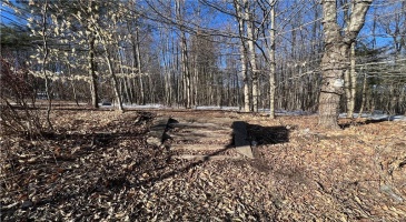 Lot 6.2 State Route 52, Fallsburg, NY, ,Land,For Sale,State Route 52,H6291024