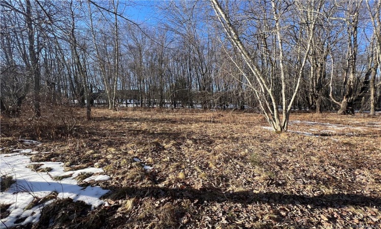 Lot 6.2 State Route 52, Fallsburg, NY, ,Land,For Sale,State Route 52,H6291024