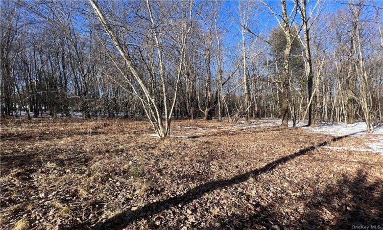 Lot 6.2 State Route 52, Fallsburg, NY, ,Land,For Sale,State Route 52,H6291024