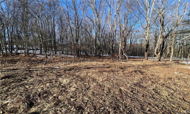 Lot 6.2 State Route 52, Fallsburg, NY, ,Land,For Sale,State Route 52,H6291024