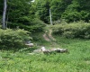 Passage up to level area, passing dug well.