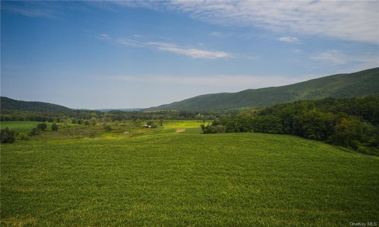 Boston Corners Road, North East, NY, ,Land,For Sale,Boston Corners,H6291399