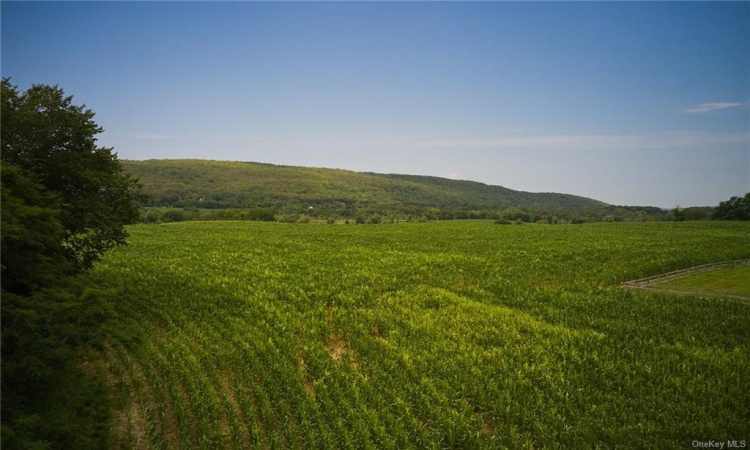 Boston Corners Road, North East, NY, ,Land,For Sale,Boston Corners,H6291399