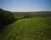 Boston Corners Road, North East, NY, ,Land,For Sale,Boston Corners,H6291399