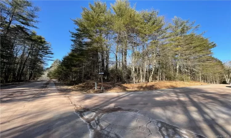 Krystyna Road, Bethel, NY, ,Land,For Sale,Krystyna,H6292324