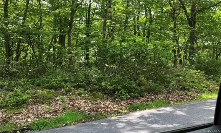 Krystyna Road, Bethel, NY, ,Land,For Sale,Krystyna,H6292324