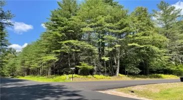 Krystyna Road, Bethel, NY, ,Land,For Sale,Krystyna,H6292324