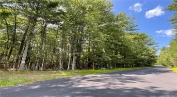 Krystyna Road, Bethel, NY, ,Land,For Sale,Krystyna,H6292343