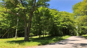 382 Pine Grove Road, Bethel, NY, ,Land,For Sale,Pine Grove,H6292354