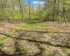 Wadsworth Hill Road, New Lebanon, NY, ,Land,For Sale,Wadsworth Hill,H6291783