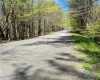 Wadsworth Hill Road, New Lebanon, NY, ,Land,For Sale,Wadsworth Hill,H6291783