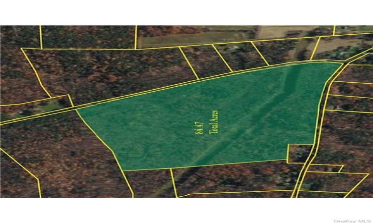 Wadsworth Hill Road, New Lebanon, NY, ,Land,For Sale,Wadsworth Hill,H6291783