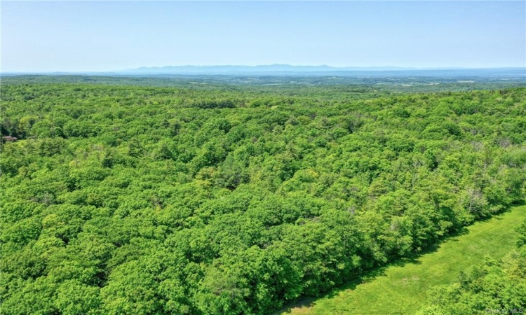 Wadsworth Hill Road, New Lebanon, NY, ,Land,For Sale,Wadsworth Hill,H6291783