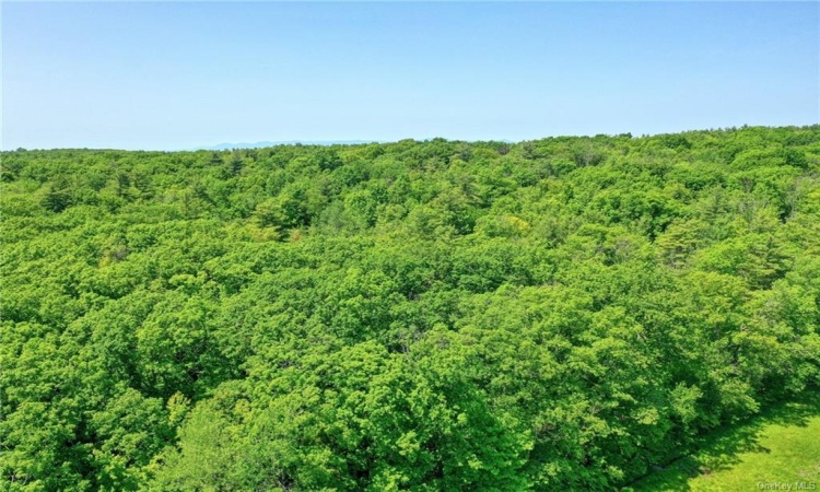 Wadsworth Hill Road, New Lebanon, NY, ,Land,For Sale,Wadsworth Hill,H6291783