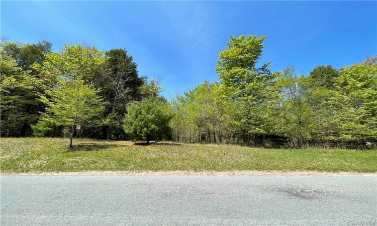 56 Roslyn Ridge Road, Bethel, NY, ,Land,For Sale,Roslyn Ridge,H6292890