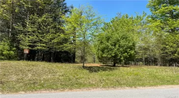 56 Roslyn Ridge Road, Bethel, NY, ,Land,For Sale,Roslyn Ridge,H6292890