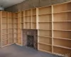 Walls of wood shelving w/non-working fpl accent