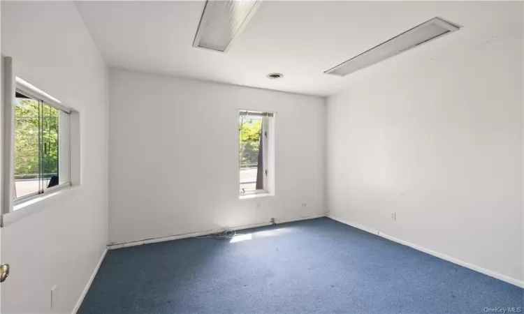 Empty room featuring carpet flooring and plenty of natural light