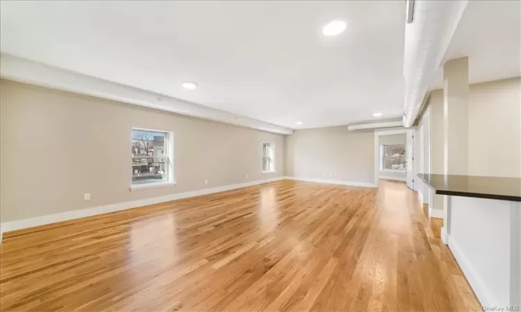 Unfurnished living room with a healthy amount of sunlight and light hardwood / wood-style flooring