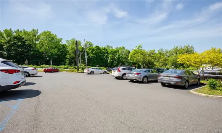 298 Ny-59, Orangetown, NY, ,Business Opportunity,For Sale,Ny-59,H6311042