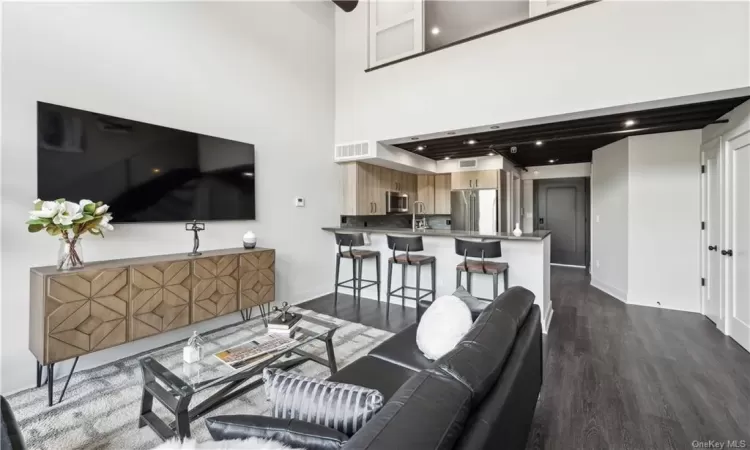 Living room with dark hardwood / wood-style floors, sink, and a high ceiling