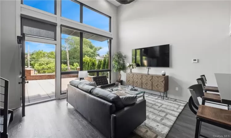 Living room with dark hardwood / wood-style floors and a high ceiling