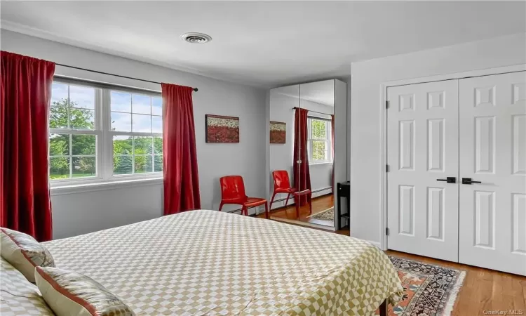 Bedroom with multiple windows, a closet, and hardwood / wood-style flooring