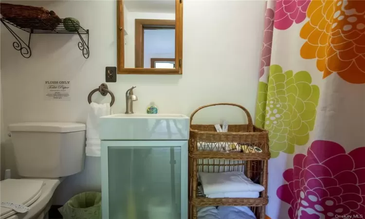 Bathroom with toilet and vanity