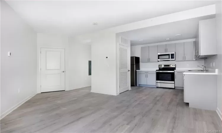 Kitchen featuring stainless steel appliances, gray cabinets, light hardwood / wood-style floors, and sink