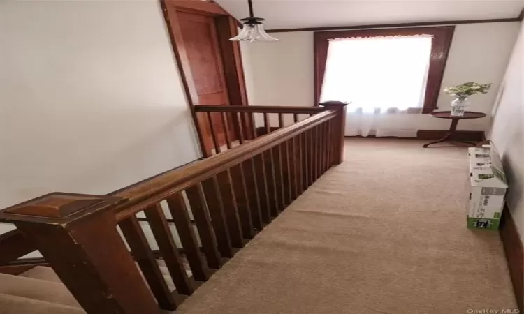 Staircase featuring carpet flooring