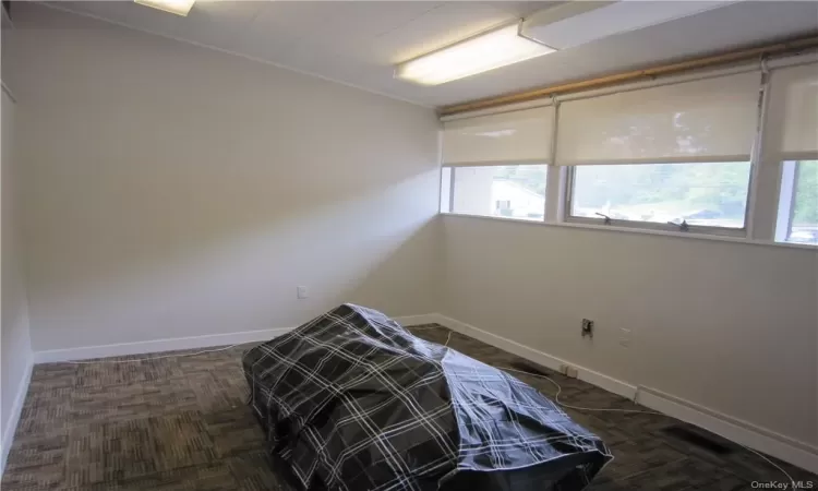 Bedroom featuring multiple windows