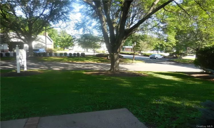 View of the front yard