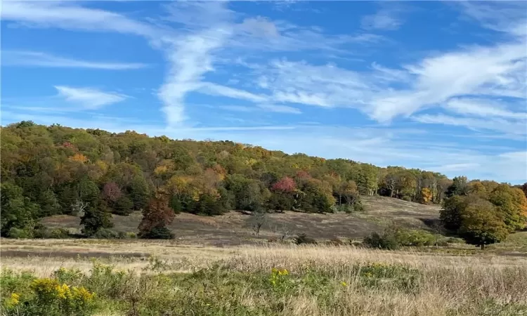 View of nature