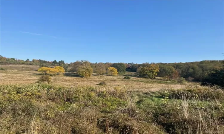 View of nature featuring a rural view