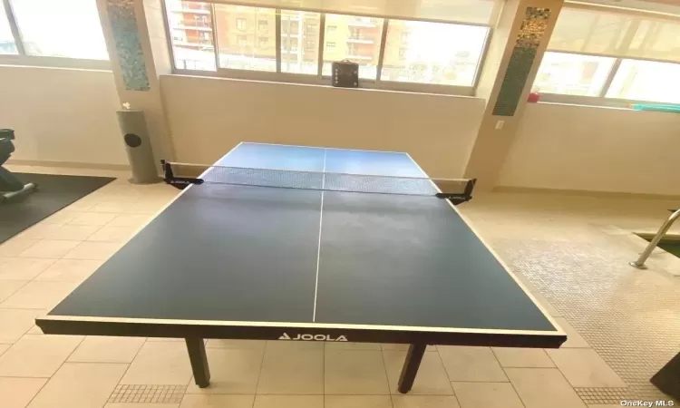 Ping Pong Table