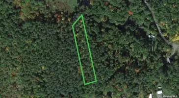 0 Eldred Yulan Road, Out Of Area Town, NY, ,Land,For Sale,Eldred Yulan,3584798