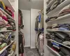 Primary Walk-in-Closet