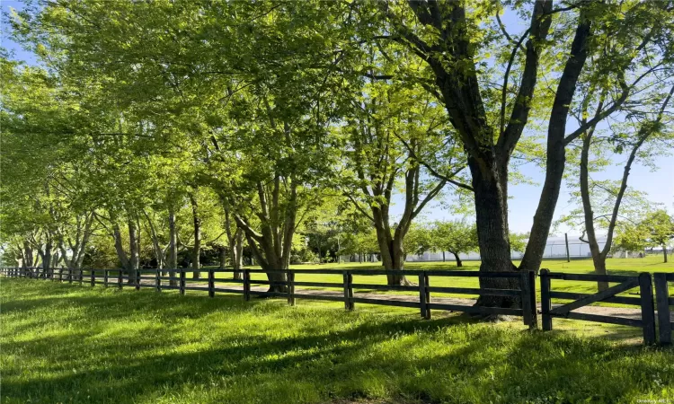 Indian Neck Farm