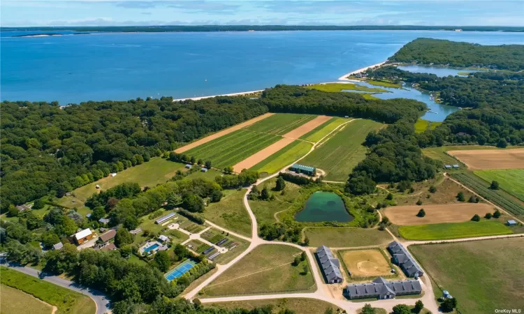 Indian Neck Farm