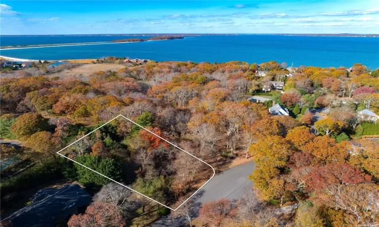 51 Beach Plum Road, Sag Harbor, NY, ,Land,For Sale,Beach Plum,3590793